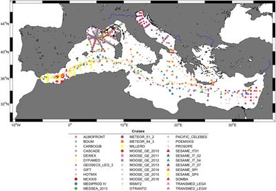 A Regional Neural Network Approach to Estimate Water-Column Nutrient Concentrations and Carbonate System Variables in the Mediterranean Sea: CANYON-MED